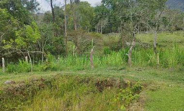 SE VENDE HERMOSA FINCA EN FUSAGASUGA VEREDA EL GUAVIO