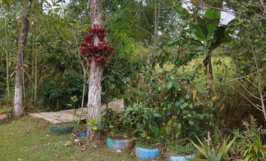 SE VENDE HERMOSA FINCA EN FUSAGASUGA VEREDA EL GUAVIO