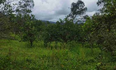 SE VENDE HERMOSA FINCA EN FUSAGASUGA VEREDA EL GUAVIO
