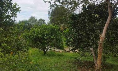 SE VENDE HERMOSA FINCA EN FUSAGASUGA VEREDA EL GUAVIO