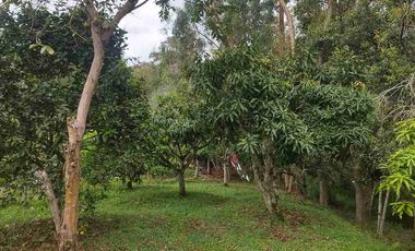 SE VENDE HERMOSA FINCA EN FUSAGASUGA VEREDA EL GUAVIO