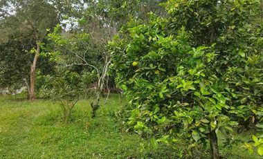 SE VENDE HERMOSA FINCA EN FUSAGASUGA VEREDA EL GUAVIO