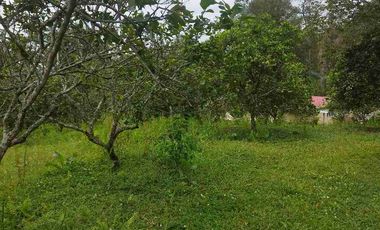 SE VENDE HERMOSA FINCA EN FUSAGASUGA VEREDA EL GUAVIO