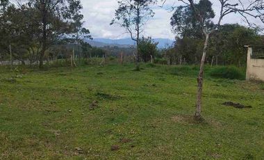 SE VENDE HERMOSA FINCA EN FUSAGASUGA VEREDA EL GUAVIO