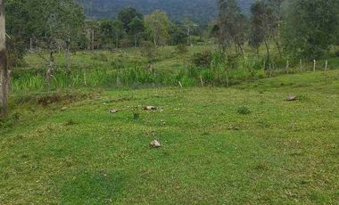 SE VENDE HERMOSA FINCA EN FUSAGASUGA VEREDA EL GUAVIO