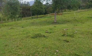 SE VENDE HERMOSA FINCA EN FUSAGASUGA VEREDA EL GUAVIO