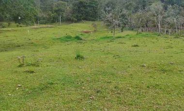 SE VENDE HERMOSA FINCA EN FUSAGASUGA VEREDA EL GUAVIO