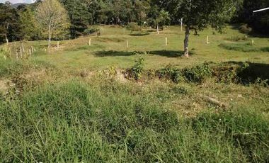 SE VENDE HERMOSA FINCA EN FUSAGASUGA VEREDA EL GUAVIO