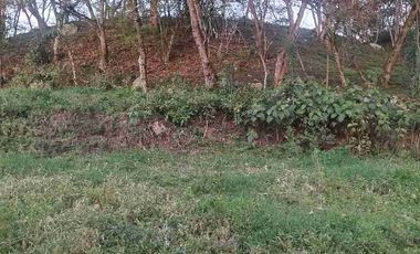 SE VENDE HERMOSA FINCA EN FUSAGASUGA VEREDA EL GUAVIO