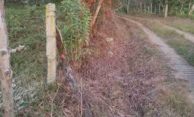 SE VENDE HERMOSA FINCA EN FUSAGASUGA VEREDA EL GUAVIO