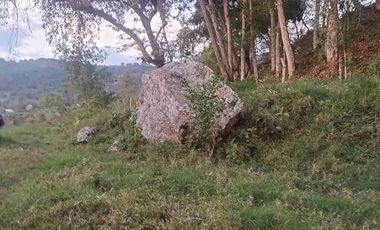 SE VENDE HERMOSA FINCA EN FUSAGASUGA VEREDA EL GUAVIO