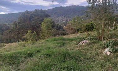 SE VENDE HERMOSA FINCA EN FUSAGASUGA VEREDA EL GUAVIO