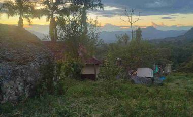 SE VENDE HERMOSA FINCA EN FUSAGASUGA VEREDA EL GUAVIO