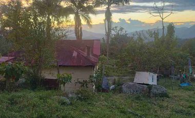 SE VENDE HERMOSA FINCA EN FUSAGASUGA VEREDA EL GUAVIO