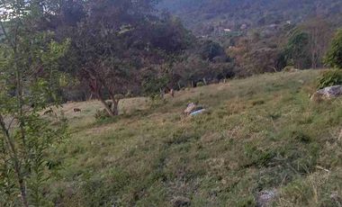 SE VENDE HERMOSA FINCA EN FUSAGASUGA VEREDA EL GUAVIO
