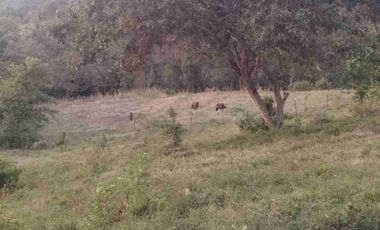 SE VENDE HERMOSA FINCA EN FUSAGASUGA VEREDA EL GUAVIO