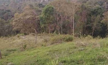 SE VENDE HERMOSA FINCA EN FUSAGASUGA VEREDA EL GUAVIO