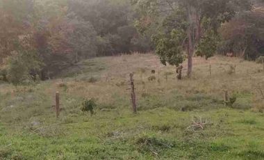SE VENDE HERMOSA FINCA EN FUSAGASUGA VEREDA EL GUAVIO
