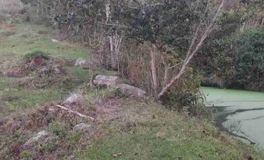 SE VENDE HERMOSA FINCA EN FUSAGASUGA VEREDA EL GUAVIO