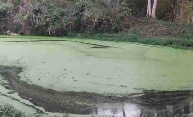 SE VENDE HERMOSA FINCA EN FUSAGASUGA VEREDA EL GUAVIO