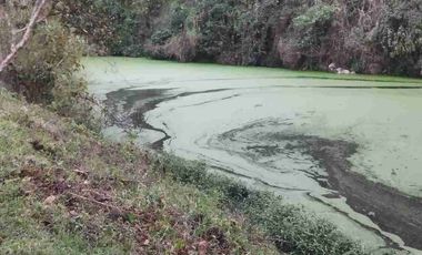 SE VENDE HERMOSA FINCA EN FUSAGASUGA VEREDA EL GUAVIO