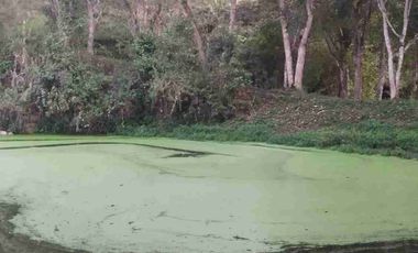 SE VENDE HERMOSA FINCA EN FUSAGASUGA VEREDA EL GUAVIO