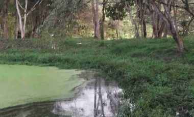 SE VENDE HERMOSA FINCA EN FUSAGASUGA VEREDA EL GUAVIO