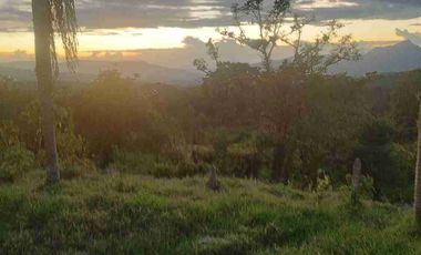 SE VENDE HERMOSA FINCA EN FUSAGASUGA VEREDA EL GUAVIO