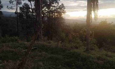 SE VENDE HERMOSA FINCA EN FUSAGASUGA VEREDA EL GUAVIO