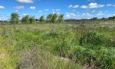 En venta hermosa parcela 5000 metros.