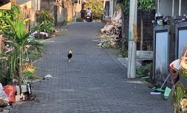 Dijual Rumah 2 Lantai Dikawasan Andakasa Gatsu Denpasar