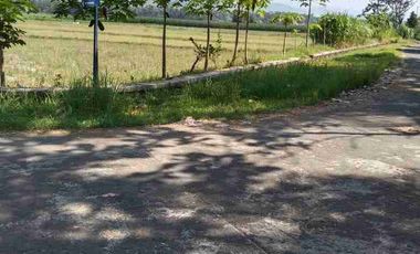 JUAL TANAH DI TEMON KULONPROGO VIEW SAWAH