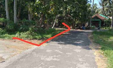 JUAL TANAH DI TEMON KULONPROGO VIEW SAWAH
