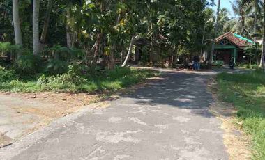 JUAL TANAH DI TEMON KULONPROGO VIEW SAWAH