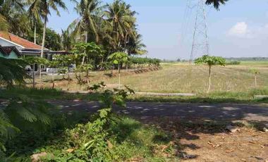 JUAL TANAH DI TEMON KULONPROGO VIEW SAWAH