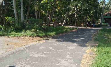 JUAL TANAH DI TEMON KULONPROGO VIEW SAWAH