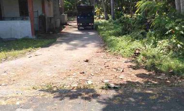 JUAL TANAH DI TEMON KULONPROGO VIEW SAWAH