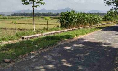 JUAL TANAH DI TEMON KULONPROGO VIEW SAWAH