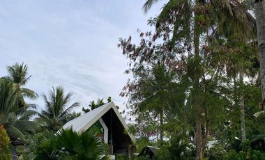 C40 - Operational Resort for Sale in Gen. Luna, Siargao