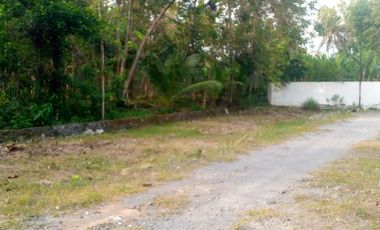 dijual tanah di bantul dalam perumahan argomulyo sedayu