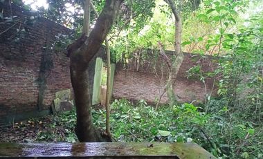 Dijual/Disewakan Rumah Dengan Banyak Lahan Kosong Di Jl. Sawunggaling Timur Semarang