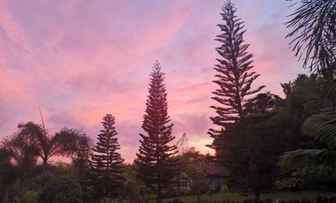 Tagaytay 500sqm luxury House for Rent / Sale　(120k⇒Now105000P)