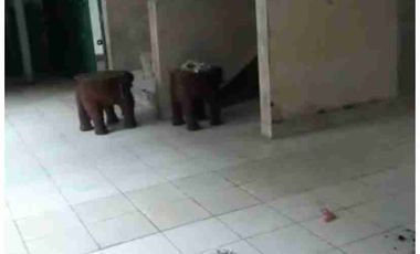 Rumah 2 Lantai untuk Usaha di Cipinang Indah Jaktim