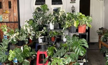 Dijual Rumah di Permata Taman Sari Asri Bandung, Cantik dan Aesthetic