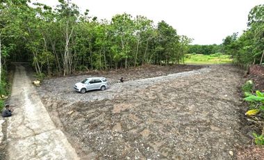 Dijual Tanah di Sentolo Kulonprogo Lokasi Srategis