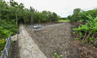 Dijual Tanah di Sentolo Kulonprogo Lokasi Srategis