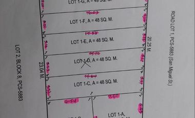 Affordable House and Lot for Sale in Paranaque near PATTS College -MD