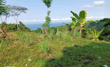 bisa bayar dua tahun tanah di batu layar senggigi