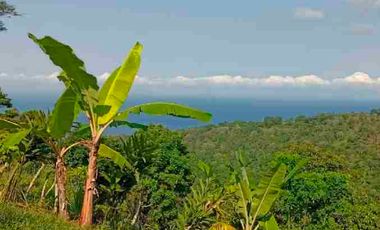 bisa bayar dua tahun tanah di batu layar senggigi
