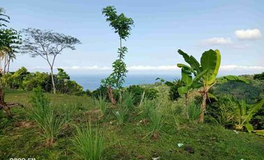 bisa bayar dua tahun tanah di batu layar senggigi